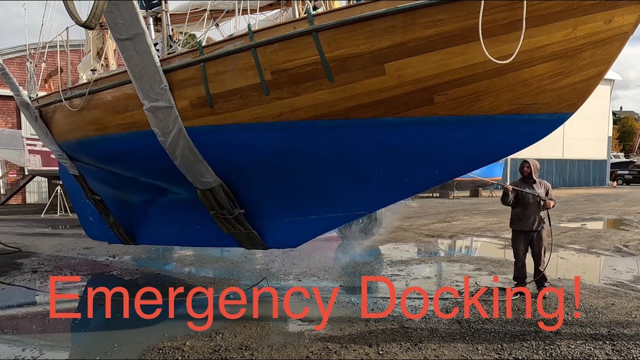Сумасшедшие существа: что это? | Парусный лайнер «Элевтерос», эпизод 58