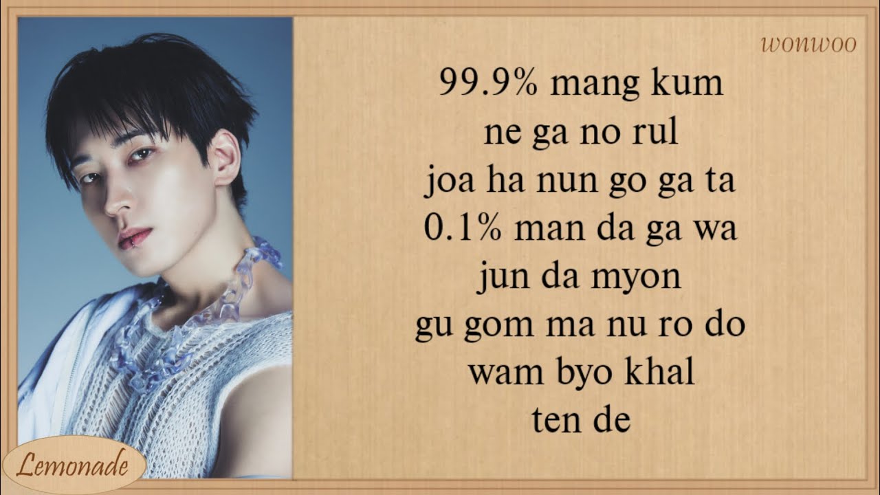 WONWOO (SEVENTEEN) 99.9% Easy Lyrics