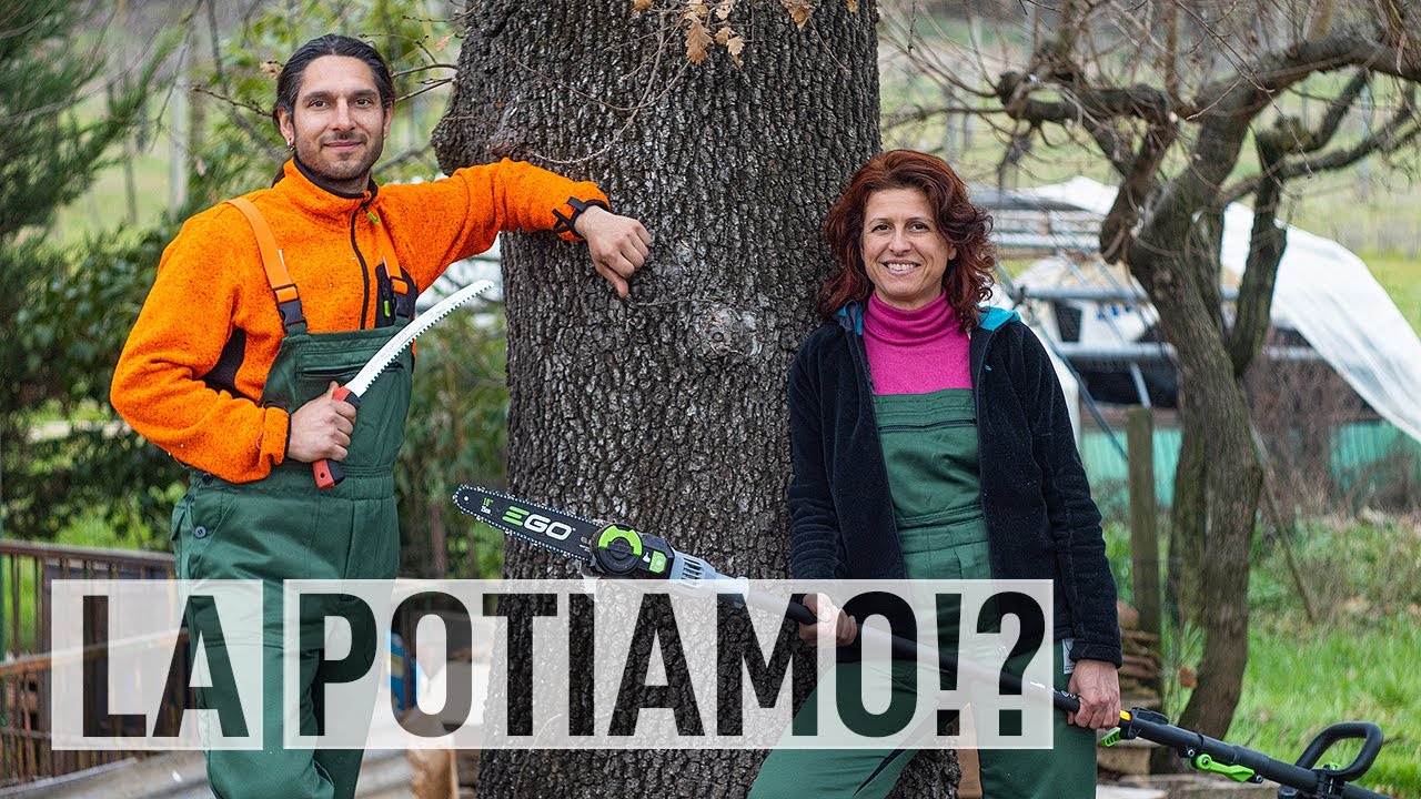 POTARE una QUERCIA SECOLARE in Tree Climbing 🌳