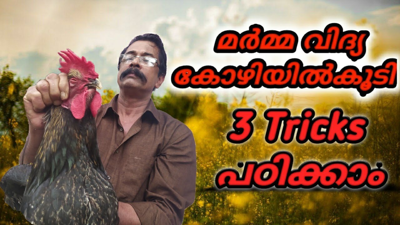 മൂന്ന് മർമ്മ പ്രയോഗവും ഇളക്കുമുറയും കോഴിയിൽ കൂടി    | Siva marma kalari self defence, part 64