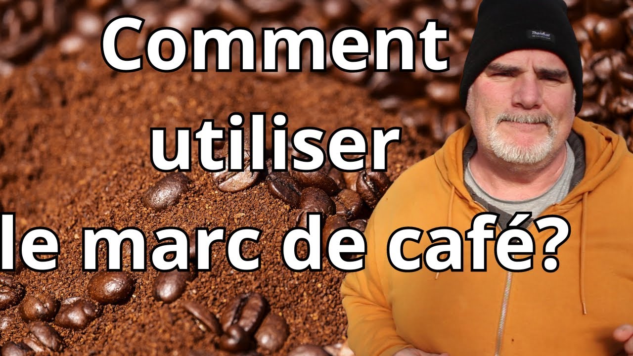 Pourquoi le marc de café est-il l'allié incontournable de votre potager ?