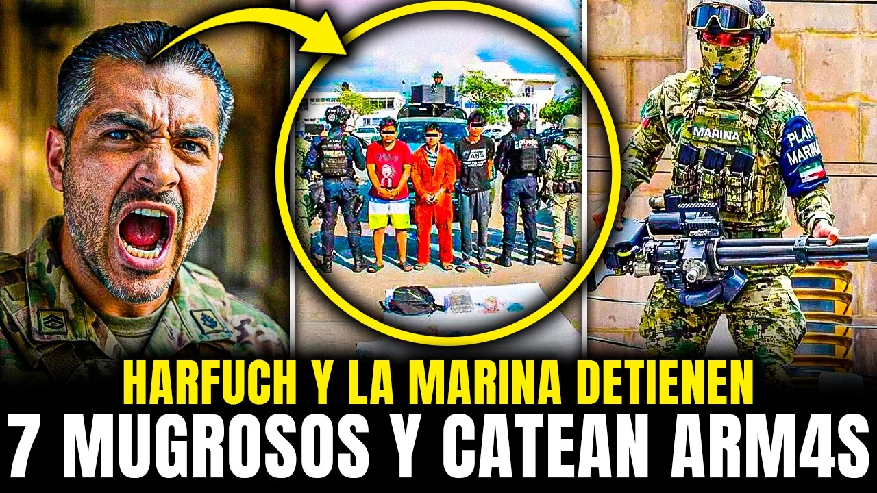 HARFUCH y la SECRETARIA de la MARINA DETIENE a 7 MUGROSOS y DECOMISAN ARMAS y AUTOS en MAZATLAN