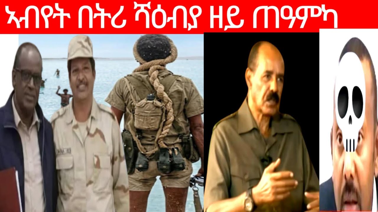 ኣብየት በትሪ ሻዕብያ ዝመረጽካ
