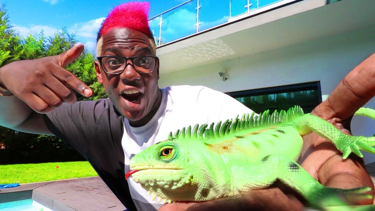 A MINHA NOVA IGUANA DE ESTIMAÇÃO !