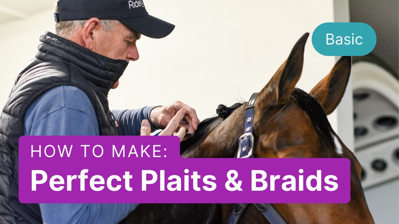 10 Easy Steps to Perfect Plaits & Braids for Your Dressage Competition - Alan Davies