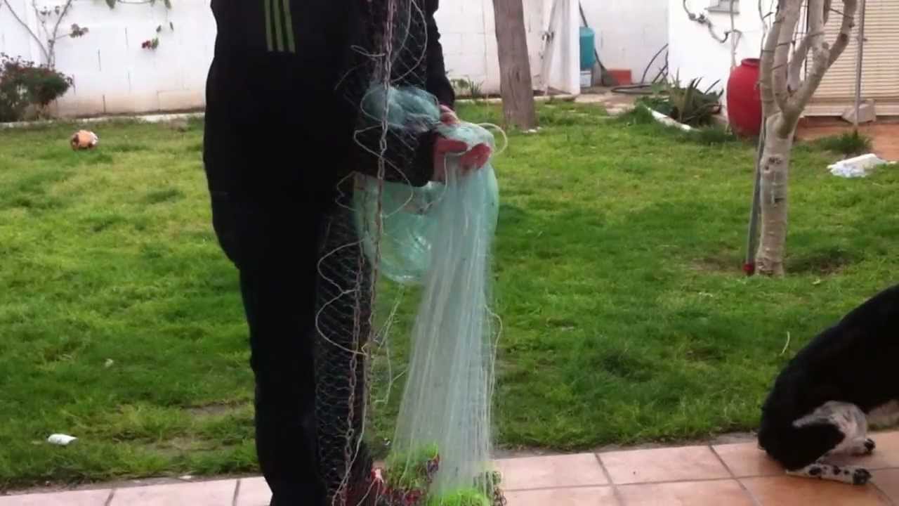 Rall de cercolet i Cadena / Atarraya de anillo con cadena (How to throw the Castnet)