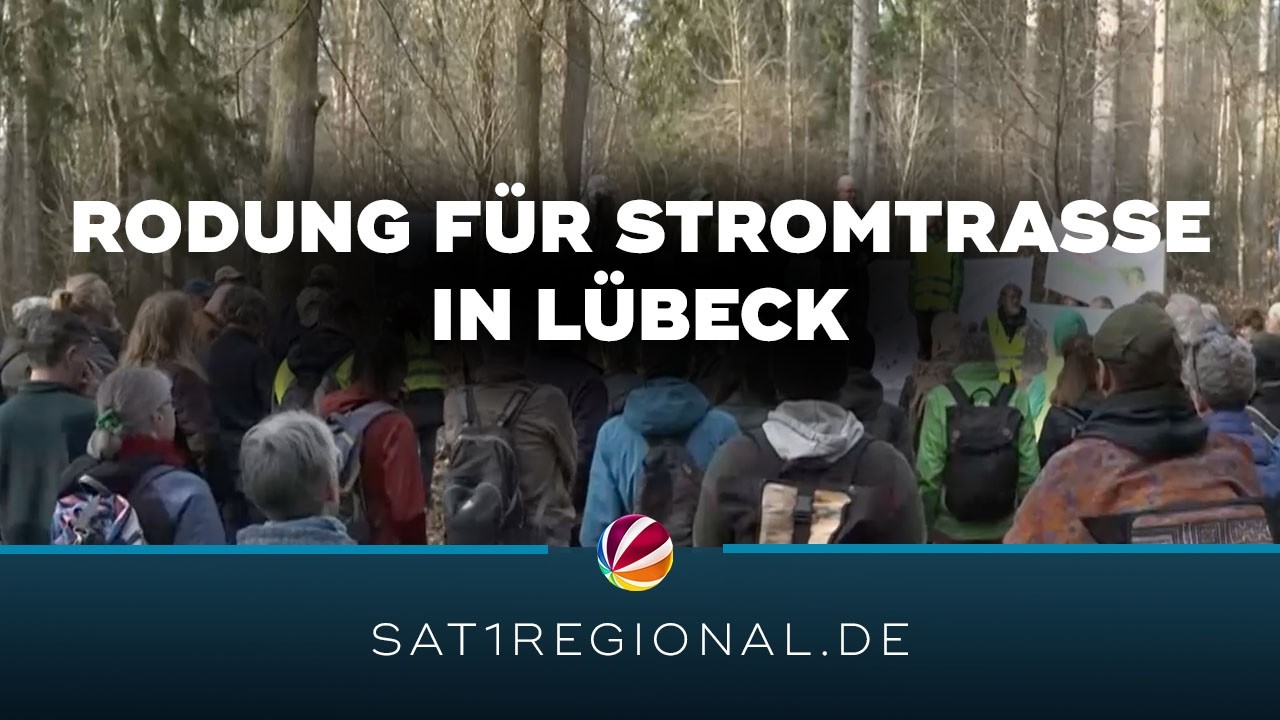 Tennet will zehn Hektar Wald in Lübeck für Stromtrasse roden