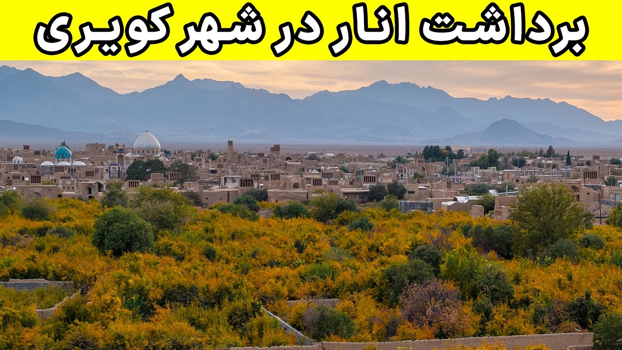 Iran Pomegranate - باورم نمیشد انار کویر به این خوبی باشه