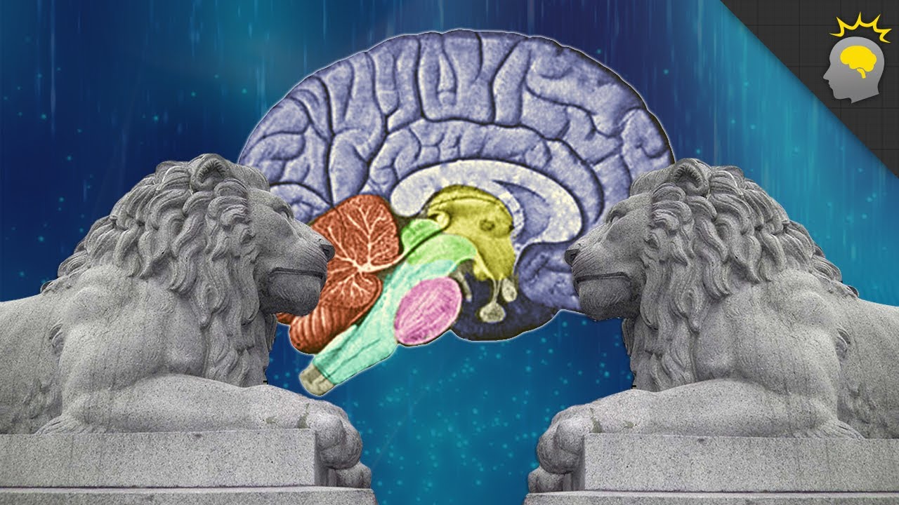 Constructing a Memory Palace - Epic Science #27