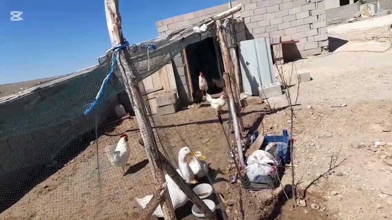 Bu videomuzda böyle olsun hayırlı nurlu bol dualı cumalar 🤲🤲