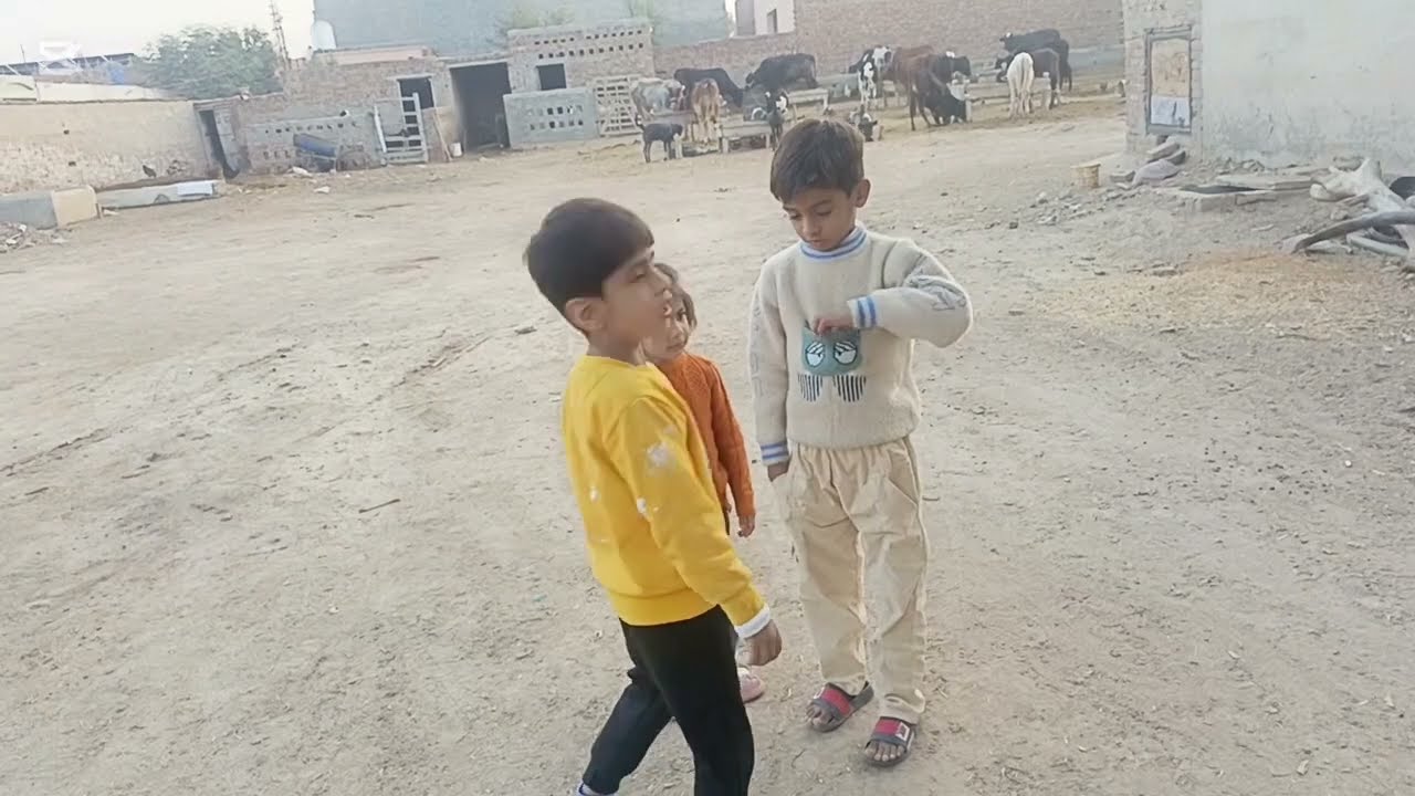 Aoun🥰ki Bakri(Goat)ki twins🐐🥳|Ayzal😘 Aoun wid Musa💞|cow goat#youtubevideo #shehrmeindehat #trending 