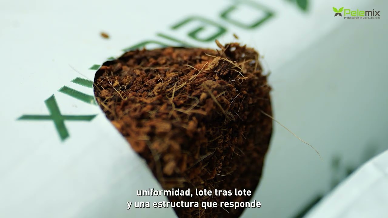 Pelemix: 30 años liderando la agricultura hidropónica