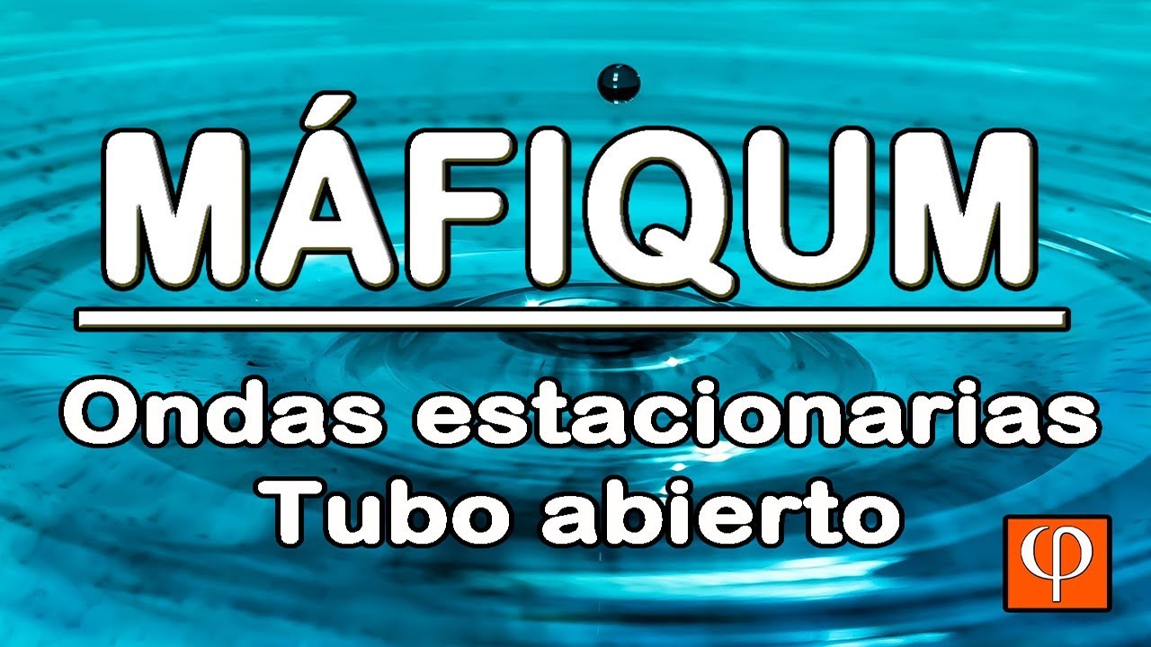 ONDAS ESTACIONARIAS  (TUBO ABIERTO)