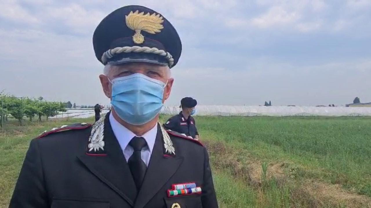 Omicidio di Saman, il comandante Regni fa il punto sulle ricerche