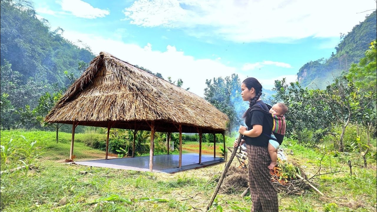 Single mother harvests sticky corn for sale - dream house for mother and daughter