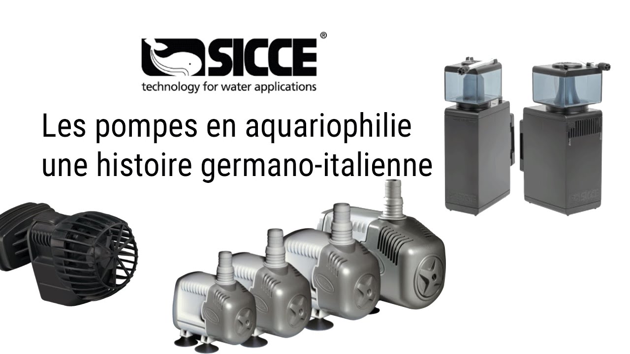 Sicce : les pompes à eau pour aquariums, une histoire germano-italienne !