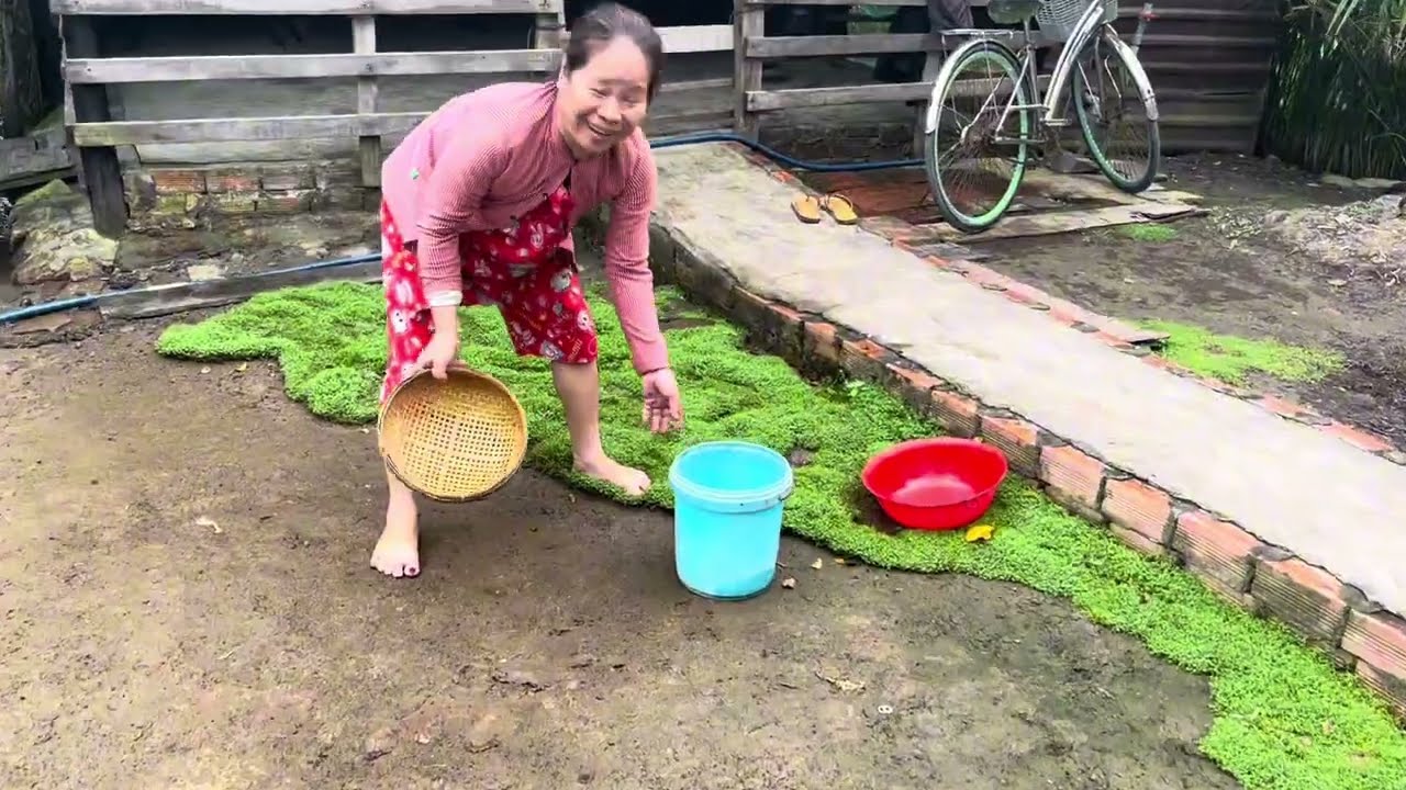 Cá Lóc Kho Trái Giác Và Lục Bình Xào Tỏi.