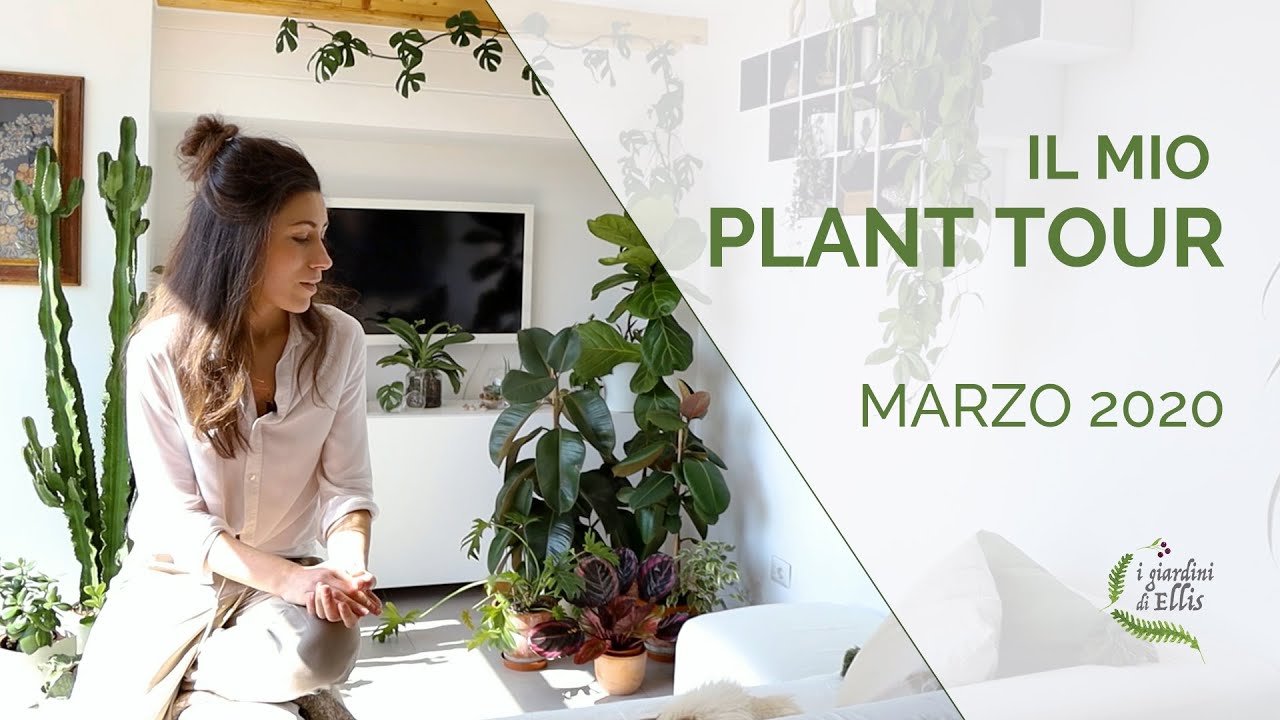 Il mio plant tour - ve le presento (quasi) tutte