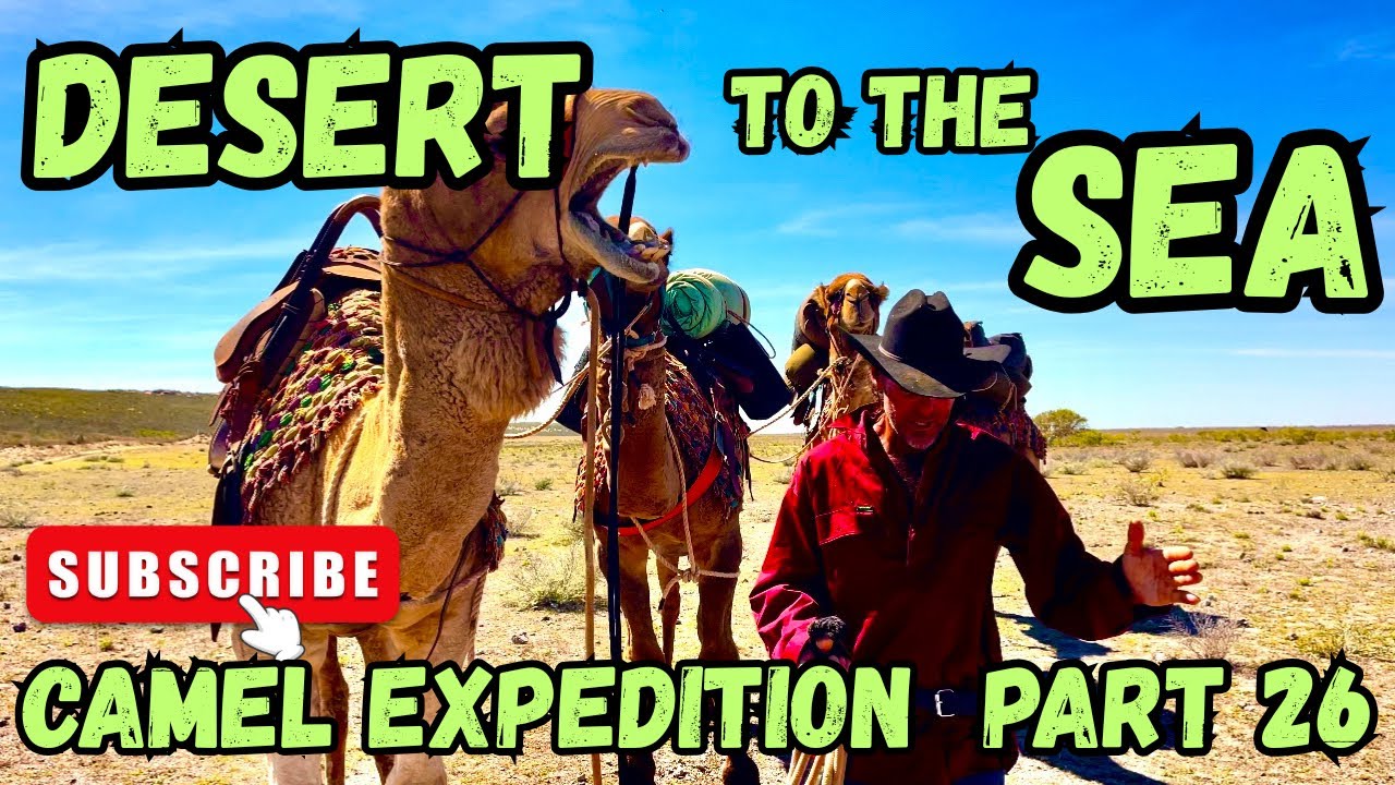 Экспедиция на верблюдах. Часть 26. Из пустыни к морю.