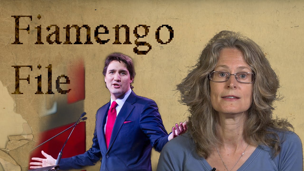 Because It's 2015 - The Fiamengo File Episode 18