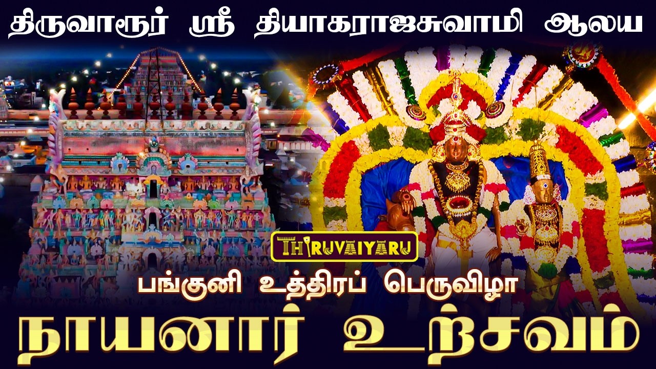 திருவாரூர் ஸ்ரீ தியாகராஜசுவாமி ஆலய பங்குனி உத்திரப் பெருவிழா நாள்-12 நாயனார் உற்சவம்