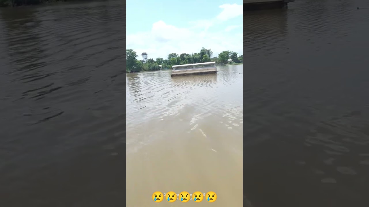 Assam Jorhat Flooding #flood