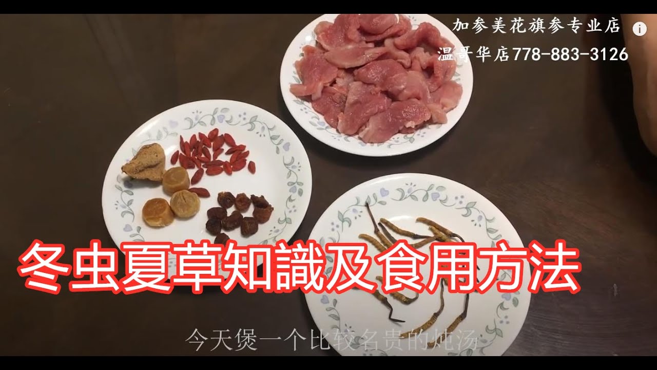 冬虫夏草知識及食用方法—【Maybel话你知】Cordyceps sinensis knowledge and edible method