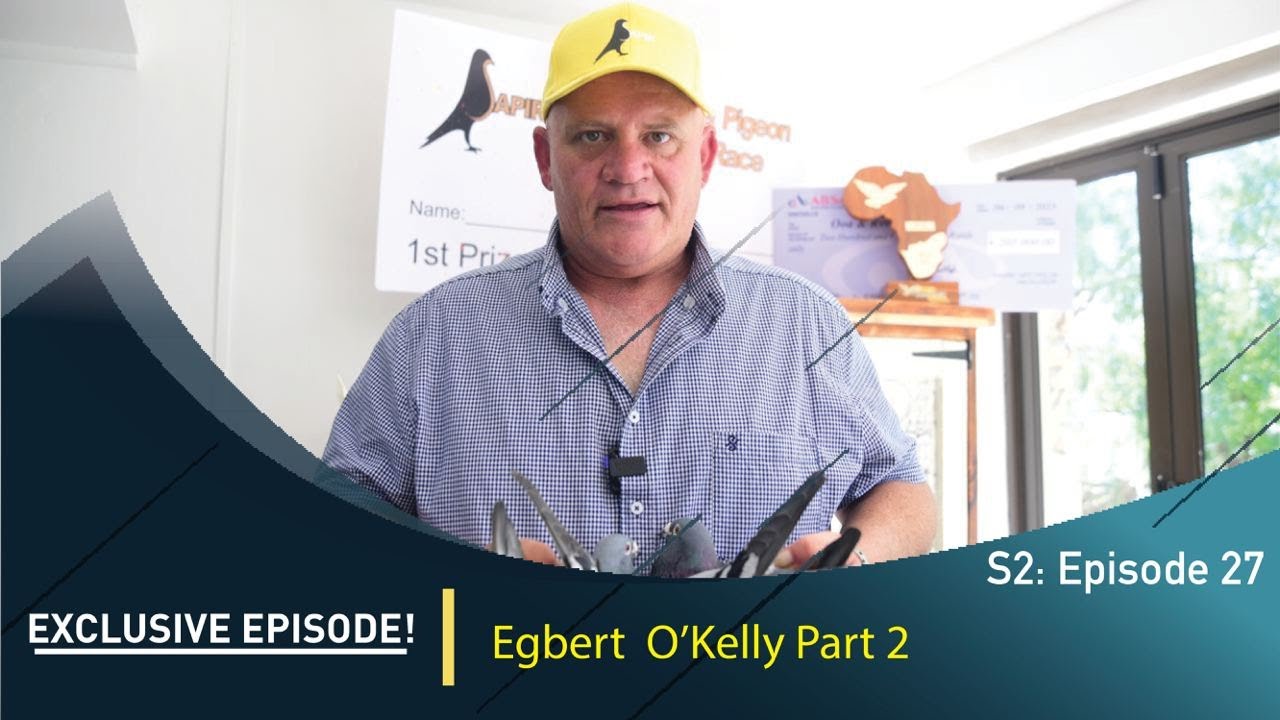 Pigeon Duiwe News TV- Egbert O'kelly PART 2!!
