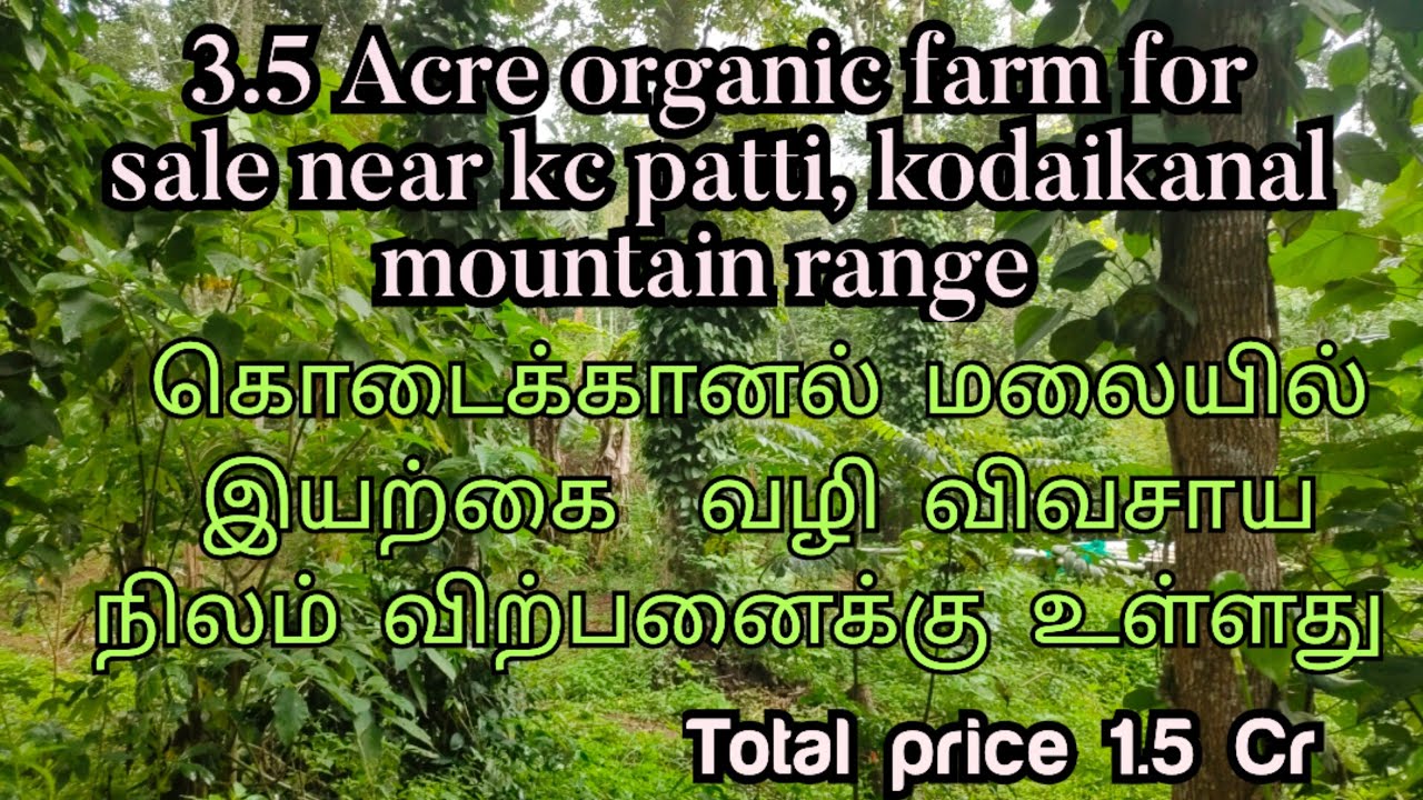 3.5 Acre organic farm for sale near kc patti, kodaikanal mountain range