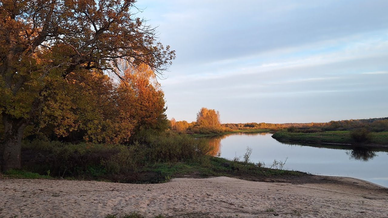 Осенний спиннинг.  Рыбалка на реке Луга на силиконовые приманки. 