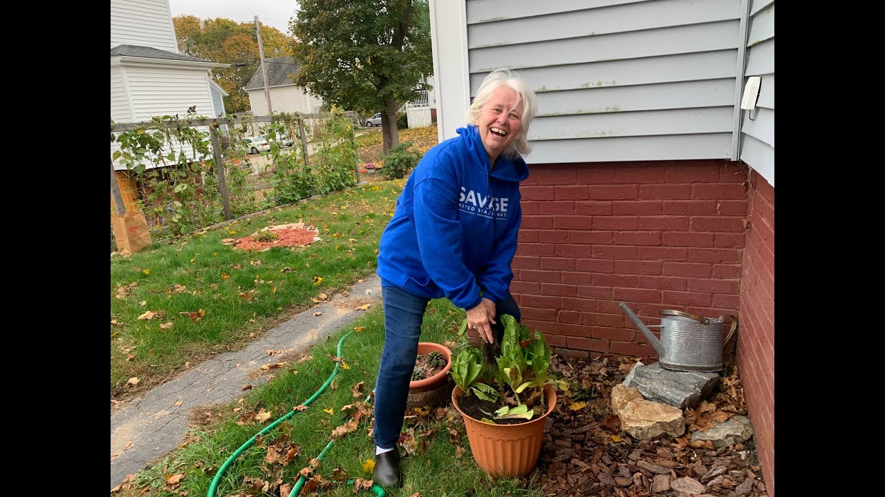 Lisa for Maine: You Are Not Alone - Get Out The Vote!