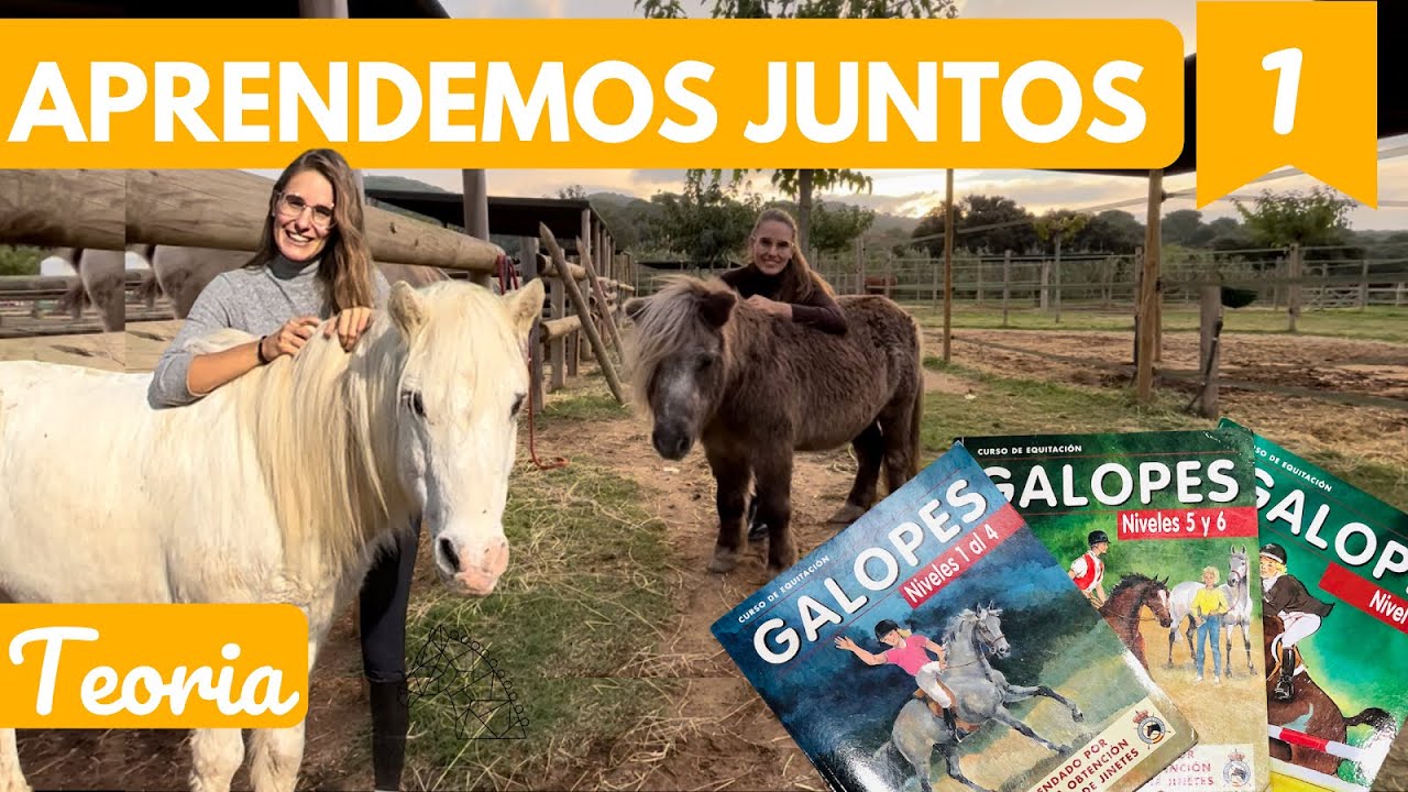 Capas y Entorno de los caballos, cabezada de cuadra