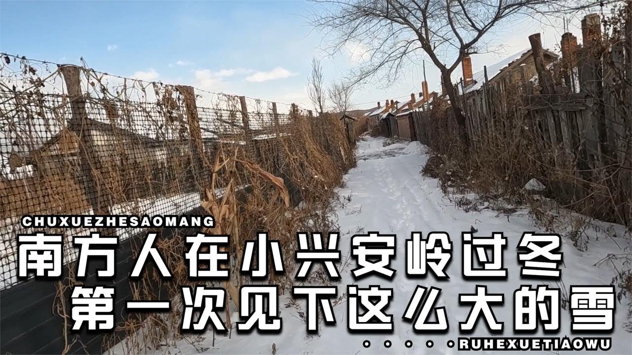 一个人在小兴安岭猫冬，远离城市的喧嚣，农村小院生活简单又治愈
