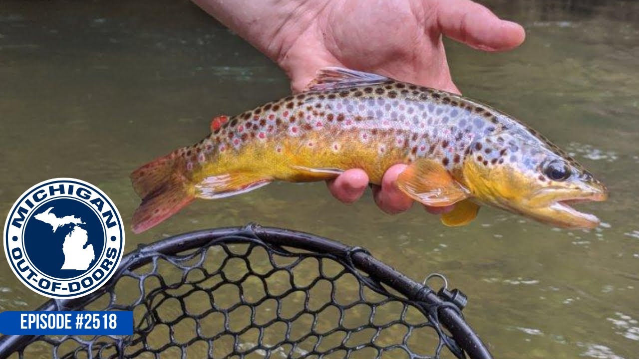 Trout Fishing, Trout Opener, DNR App; Michigan Out of Doors TV #2518