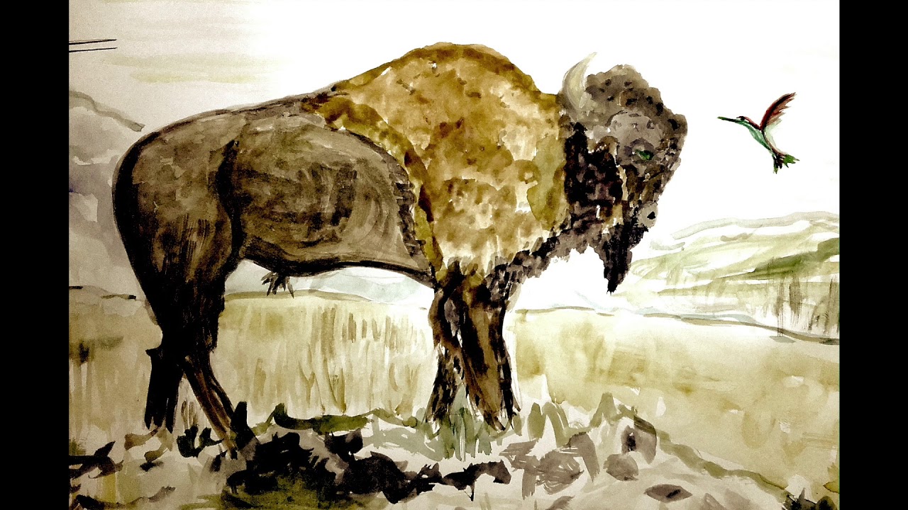 La légende de la Femme Bison Blanc - Ptesan Win