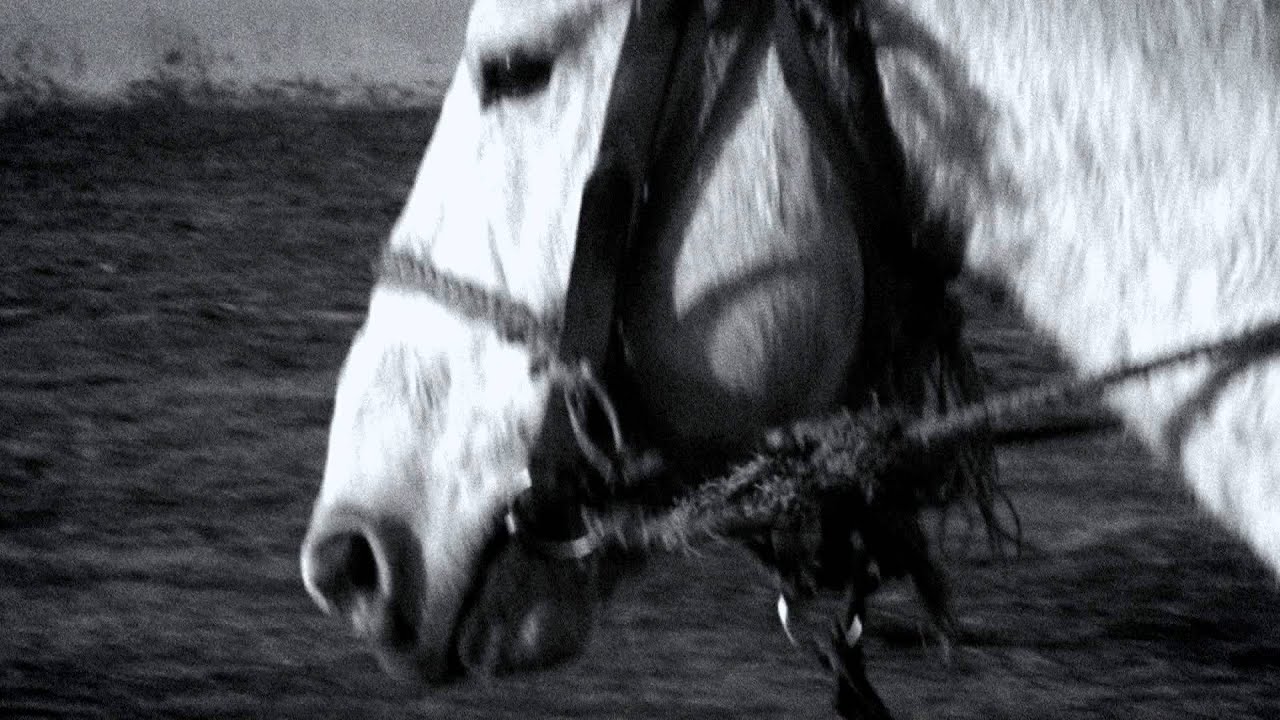 Föllakzoid "Pulsar" (Official Music Video)