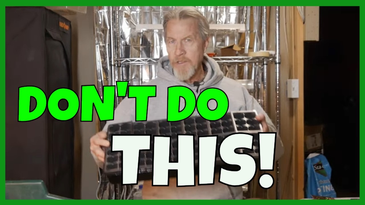 12 Seed Starting Mistakes (to AVOID)