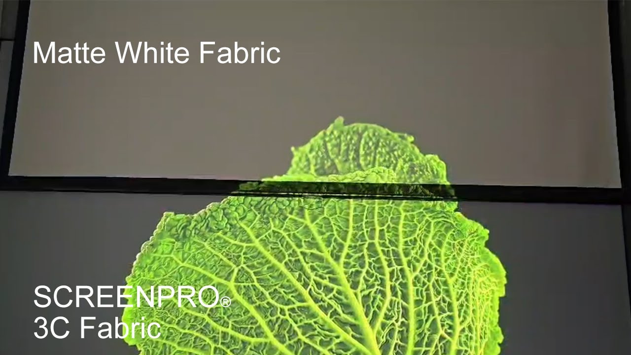 SCREENPRO 3C vs Matte White Projection Screen