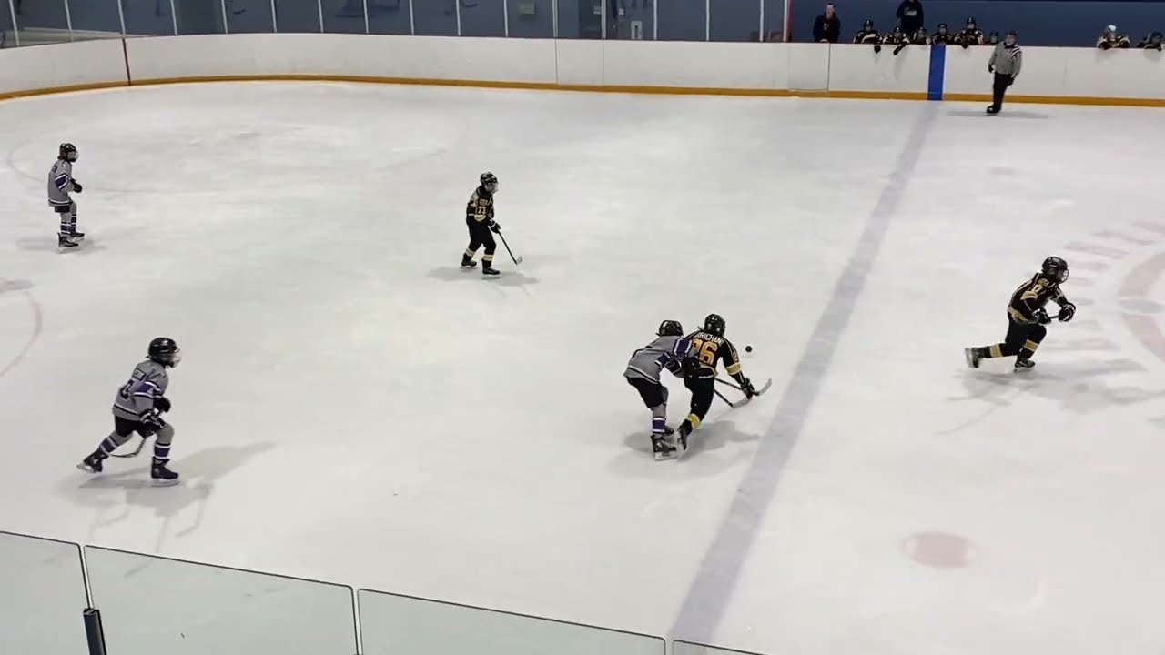 London Jr Mustangs Purple vs West Hill Golden Hawks // U11 // Feb 6, 2026