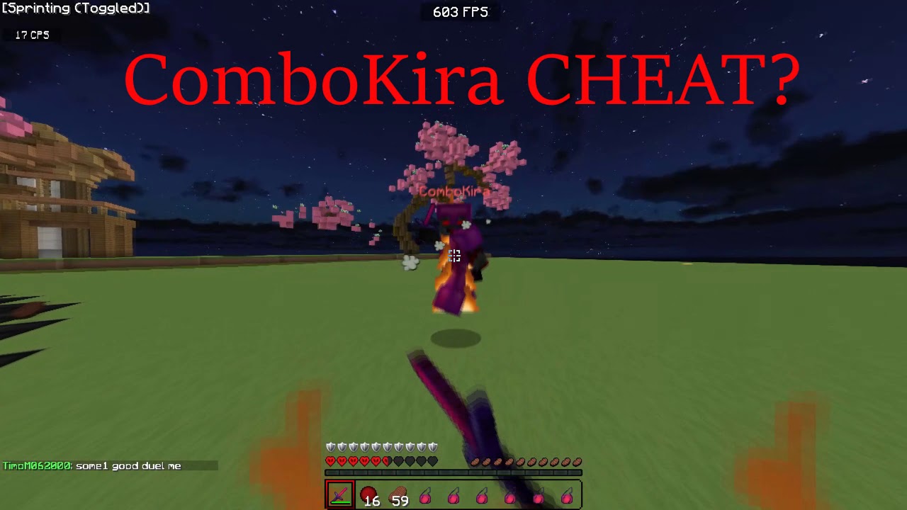 COMBOKIRA LOST 1VS1(2 potted)