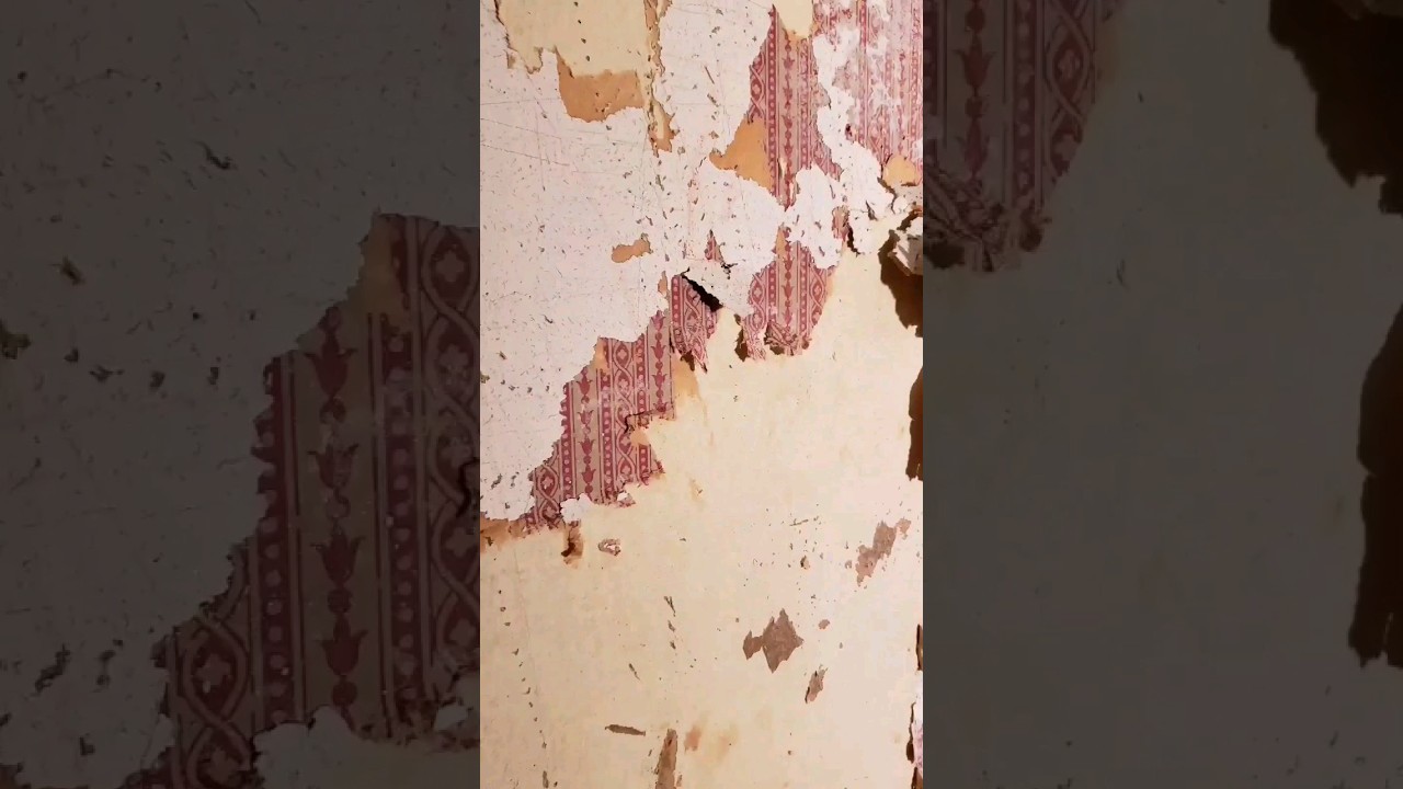 Removing Painted-Over Wallpaper from Plaster | 5 🌟 Transformation | #oldhouse #wallpaper #painting