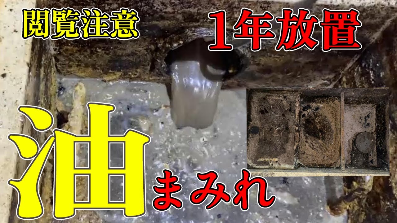 【閲覧注意】油ドロドログリストラップを高圧洗浄清掃してスッキリさせてみた。Blocked Drain