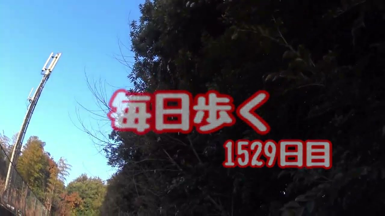 毎日歩く：1529日目