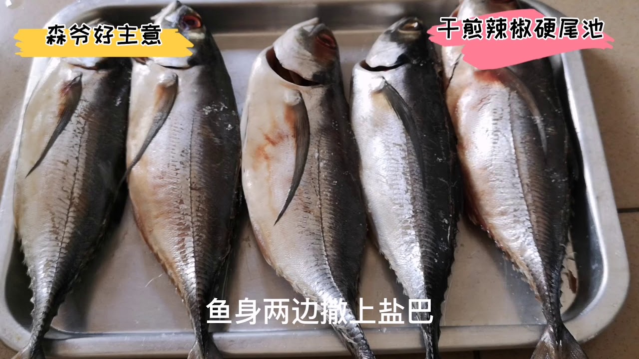 干煎辣椒硬尾池