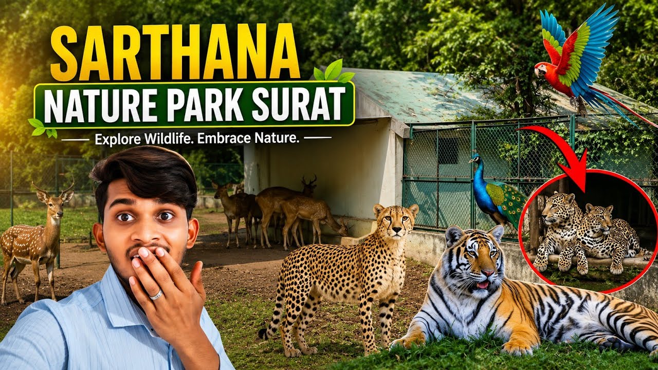 A Day at Surat Sarthana Zoo | Discovering Amazing Animals | Sarthana Nature Park Surat Latest 2024