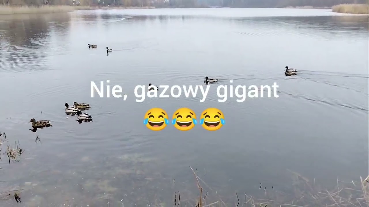 Mega mix kawały dowcipy żarty humor suchary o Jasiu policji 