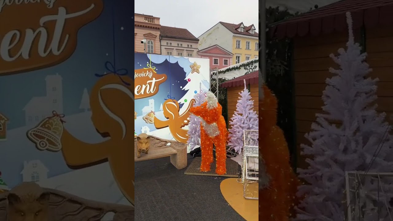 Christmas market in České Budějovice 2025 #christmas #ofw 