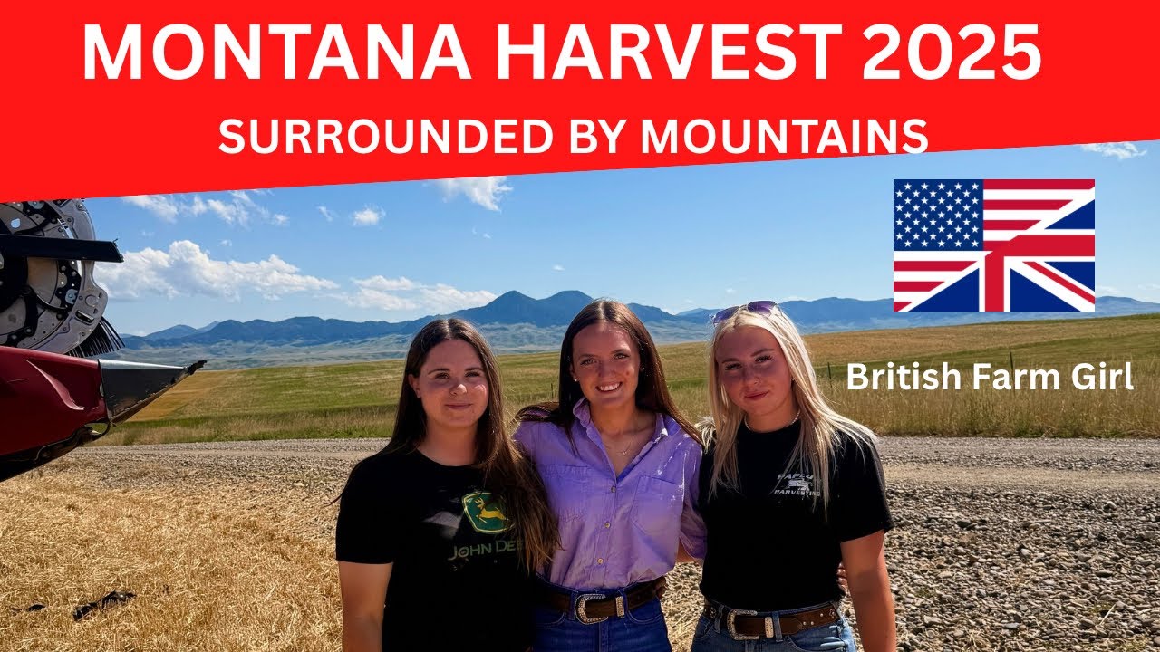 MONTANA HARVEST 2025 - SURROUNDED BY THE MOUNTAINS 