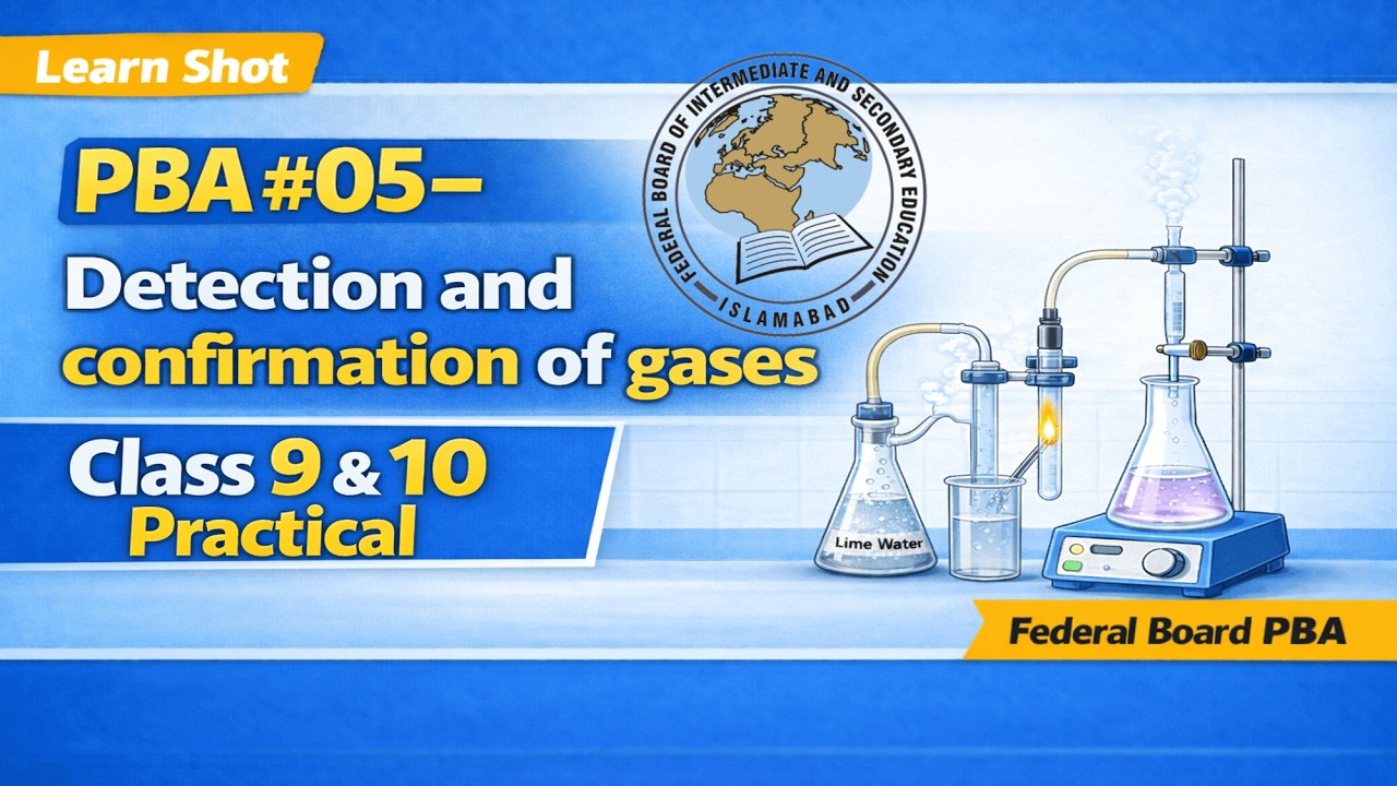 PBA #05 – Detection and Confirmation of Gases | Class 9 & 10 Chemistry Practical | Federal Board PBA