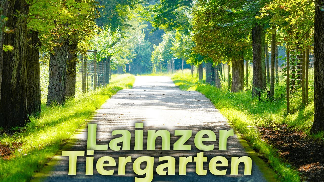 Der LAINZER TIERGARTEN - Vom Jagdrevier zum Naturschutzgebiet